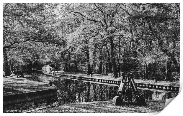 Basingstoke Canal in Surrey monochrome Print by Pearl Bucknall