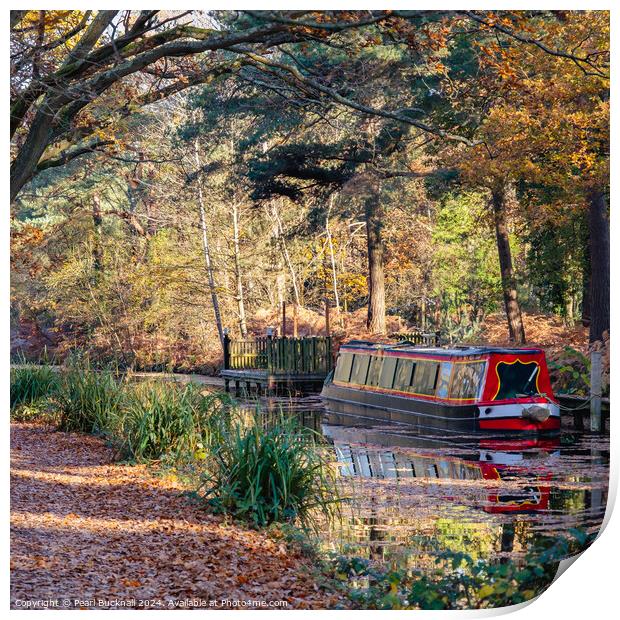 Canal Boat on the Basingstoke Canal in Autumn Print by Pearl Bucknall