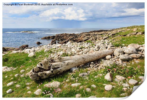 Driftwood on North Uist Coast Print by Pearl Bucknall