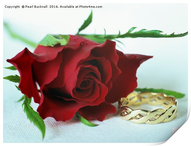 Rose and Gold Ring Valentine Concept Print by Pearl Bucknall