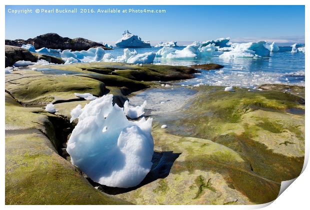 Ice and Icebergs Greenland Print by Pearl Bucknall
