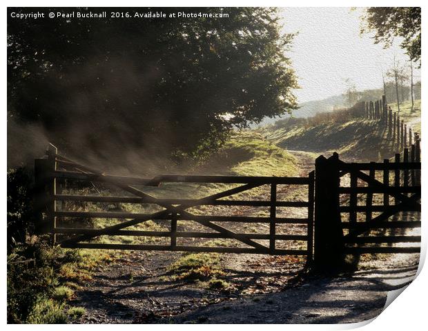 Five Bar Farm Gate Print by Pearl Bucknall