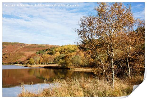 Llyn Geirionydd lake in Autumn Print by Pearl Bucknall