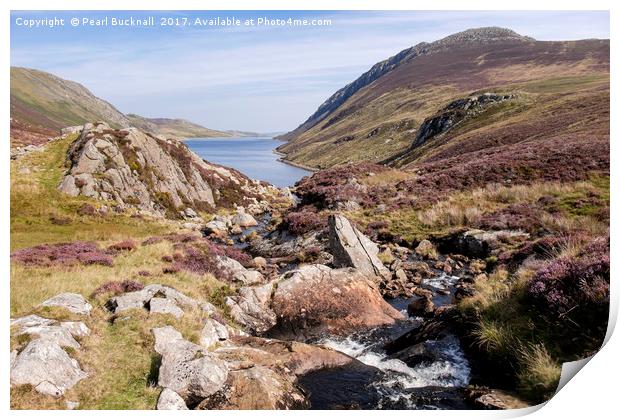 A Mountain Stream Snowdonia Wales Print by Pearl Bucknall