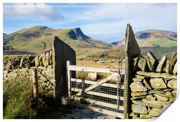 Gate on Mountain Path Print by Pearl Bucknall