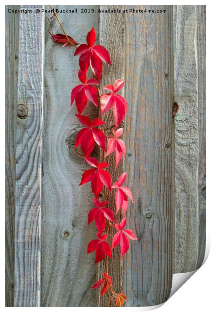 Red Leaves on Rustic Wood Print by Pearl Bucknall