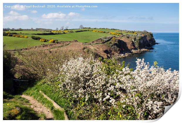 Anglesey Coast Path in Spring Print by Pearl Bucknall
