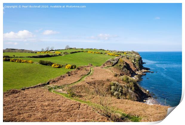 Anglesey Coastal Path near Benllech Print by Pearl Bucknall