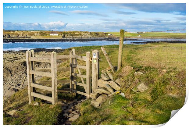 Anglesey Coast Path at Porth Cwyfan Print by Pearl Bucknall