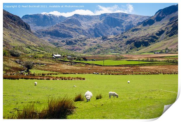 Nant Ffrancon Valley View to Glyders in Snowdonia Print by Pearl Bucknall