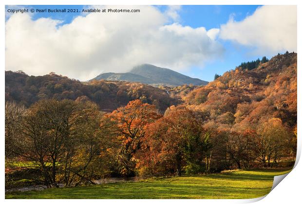 Moel Siabod in Autumn Print by Pearl Bucknall