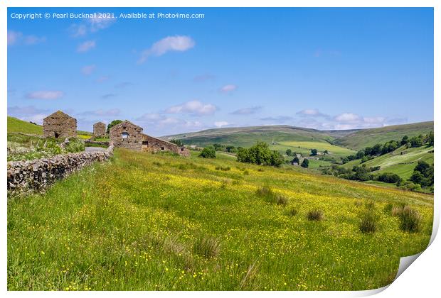 Barns and Meadow in Yorkshire Dales Countryside Print by Pearl Bucknall