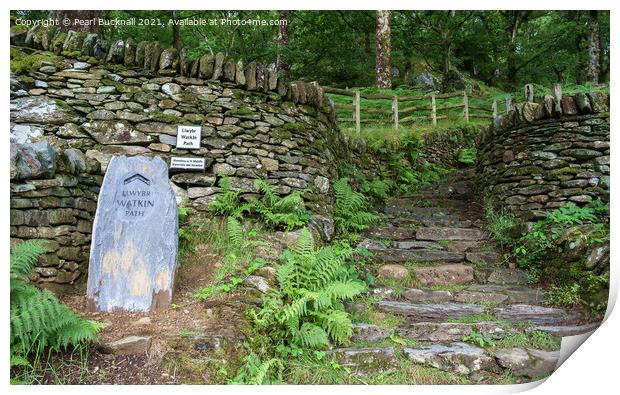 Watkin Path Steps to Snowdon Print by Pearl Bucknall
