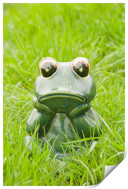 Frog in the grass Print by Bernd Tschakert