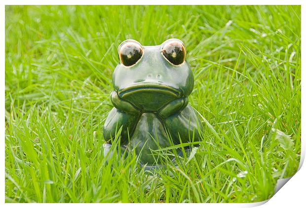 Frog in the grass Print by Bernd Tschakert