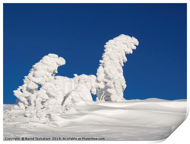 Human shaped trees covered with snow, Austria Print by Bernd Tschakert