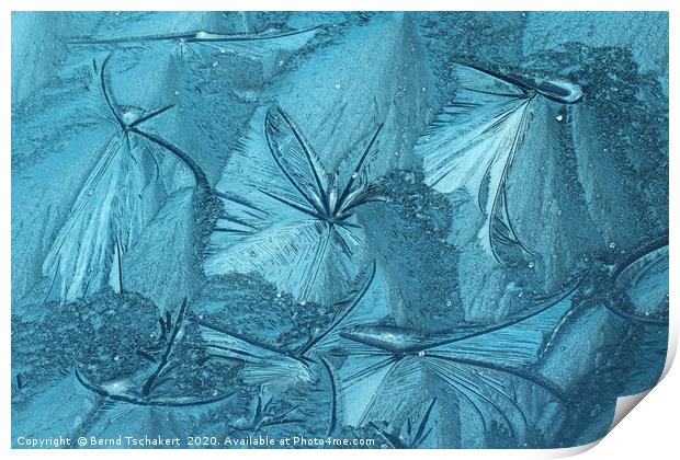 Frost pattern of ice flowers on window Print by Bernd Tschakert