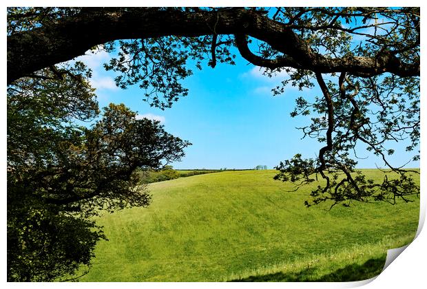 english countryside view Print by Kevin Britland