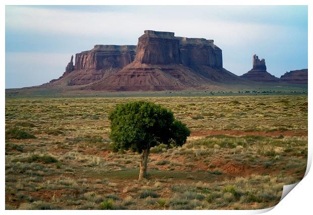 Tree in Monument Valley Print by Luc Novovitch
