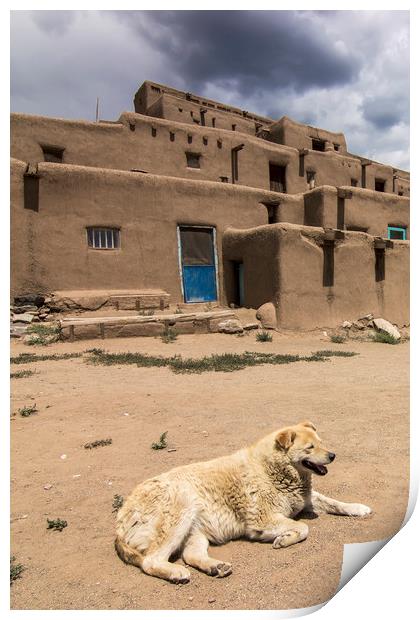 Dog in Taos Pueblo, New Mexico Print by Luc Novovitch