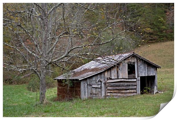 Tennessee Old Barn Print by Luc Novovitch