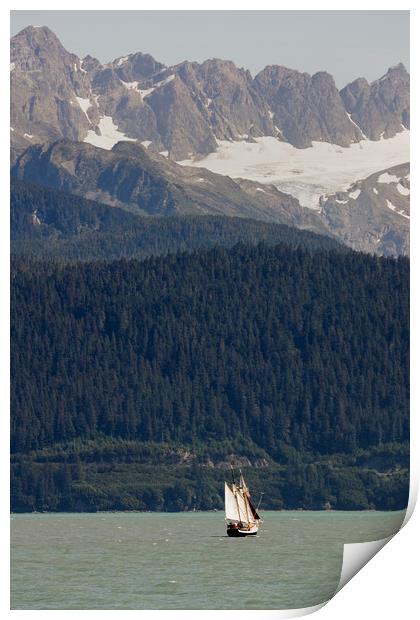 Sailing in Resurrection Bay Print by Luc Novovitch