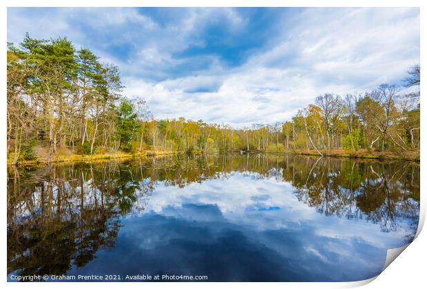 Fishpool at Gracious Pond, Chobham Common Print by Graham Prentice