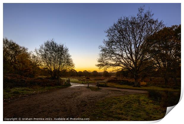 Richmond Park Sunrise Print by Graham Prentice