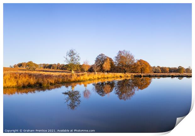 Leg of Mutton Pond in Richmond Park Print by Graham Prentice