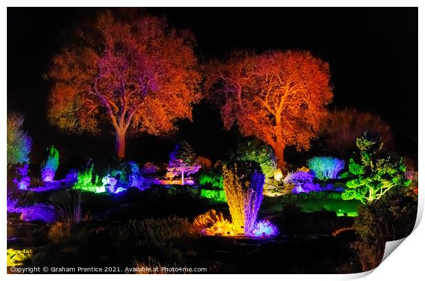 Wisley Christmas Glow Print by Graham Prentice