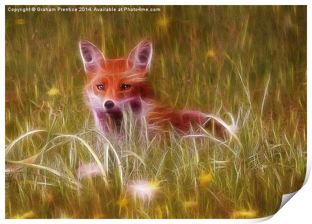 Cute Fox Cub Print by Graham Prentice