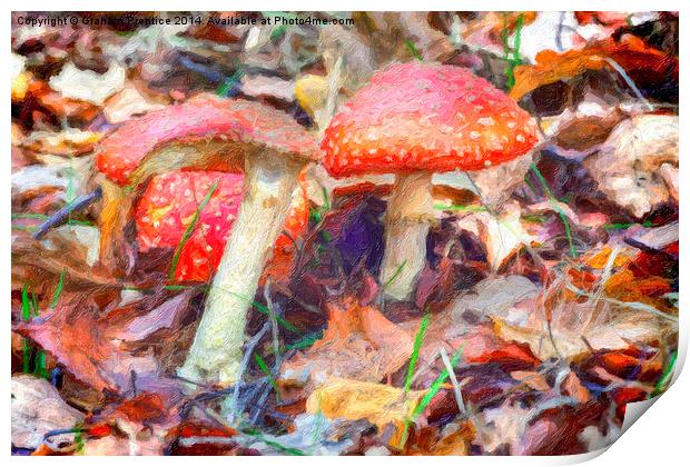 Magic Mushrooms Print by Graham Prentice