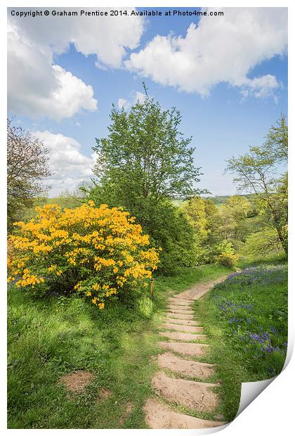 Spring Path Print by Graham Prentice