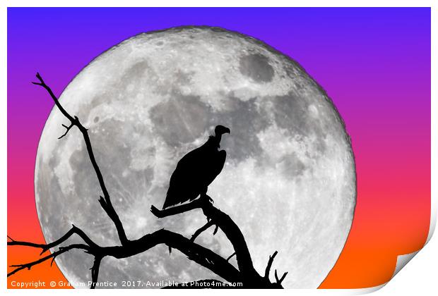 Vulture Silhouetted Against Supermoon Print by Graham Prentice