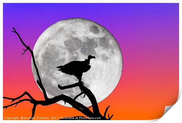 Vulture Silhouetted Against Supermoon Print by Graham Prentice