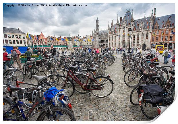 Bicycles in Brugge Print by Sheila Smart