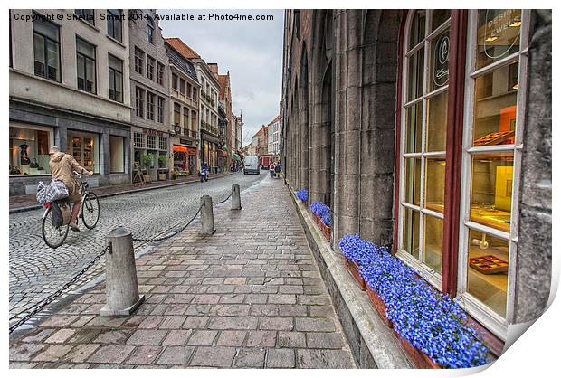 Cobbled street in Brugge Print by Sheila Smart