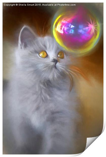 British blue kitten watches bubble Print by Sheila Smart
