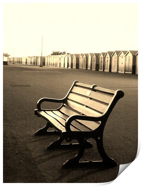 Brighton Promenade Bench Print by Liz Watson