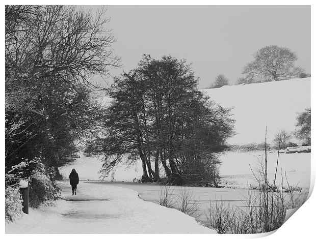 Solitary Winter Walk Print by Liz Watson