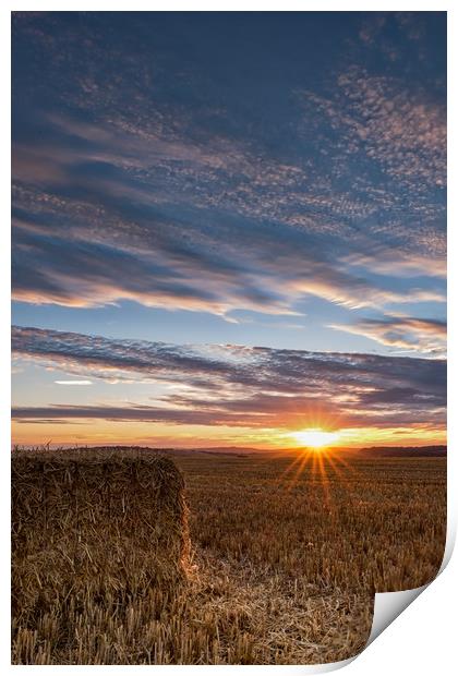 Haymaking Sunset Print by LensLight Traveler