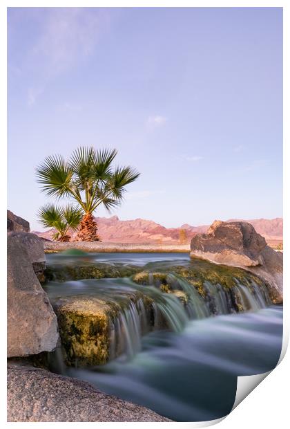 Oasis In The Nevada Desert Print by LensLight Traveler