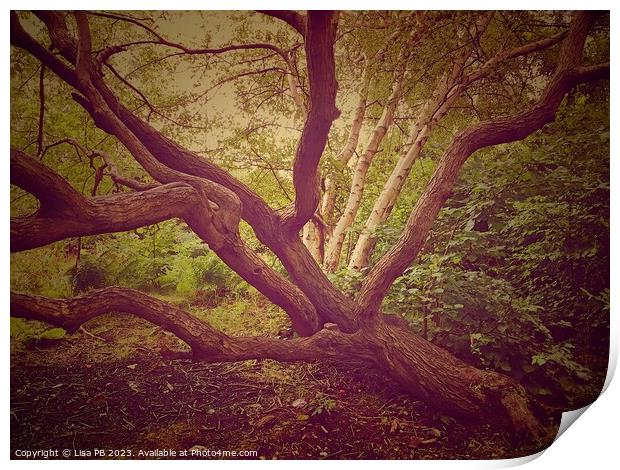 Stretching Tree Print by Lisa PB