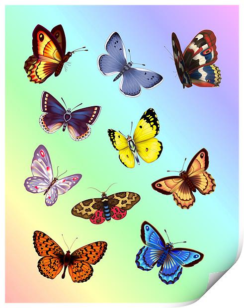 Bright Butterflies Print by Lidiya Drabchuk