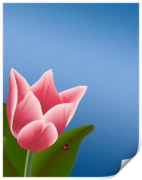 Tulip with Ladibug Print by Lidiya Drabchuk