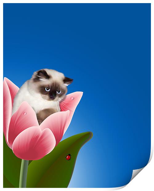 Cat In Tulip Print by Lidiya Drabchuk