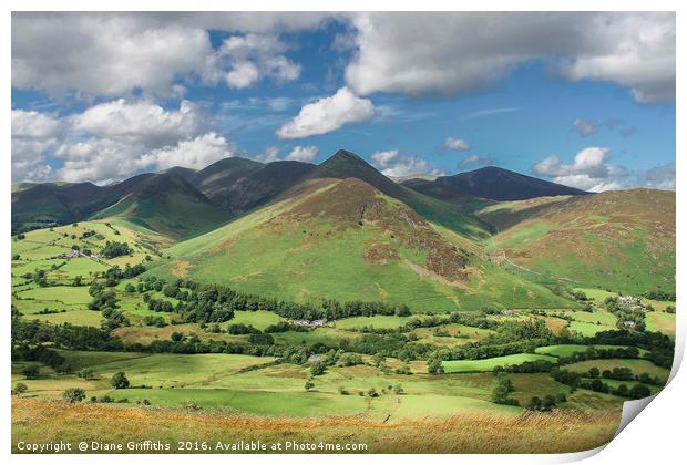 View on Catbells Walk, Keswick Print by Diane Griffiths