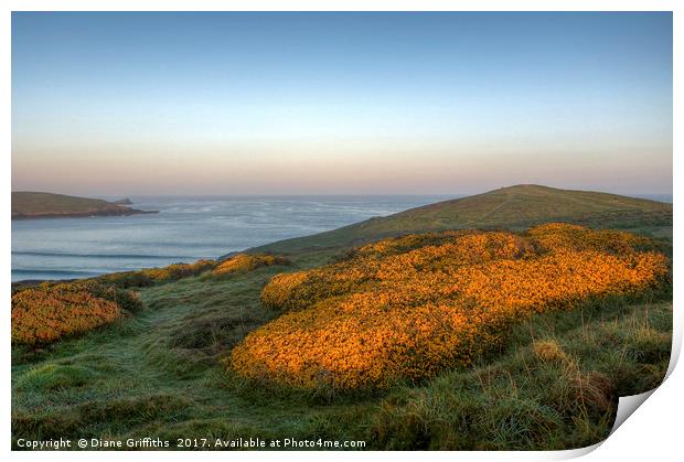 Pentire Headland Sunrise Print by Diane Griffiths