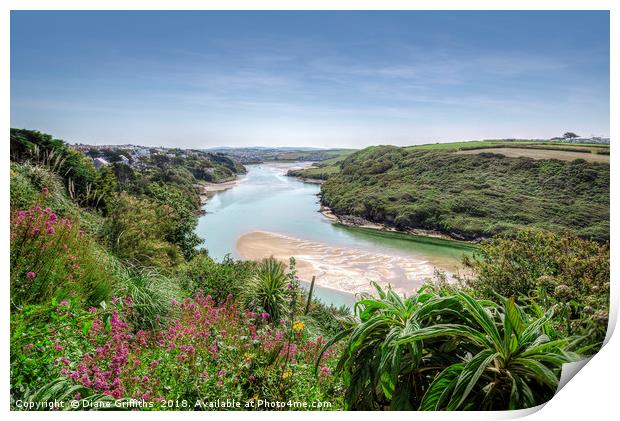 View over The Gannel Print by Diane Griffiths