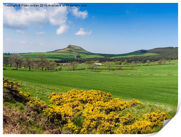 Roseberry Topping Spring Print by Peter Jordan